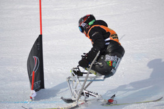 Парасноуборд